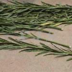 Fresh Willow Branch Peeling Machine