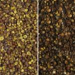 Máy tách có độ chính xác cao, hiệu quả cao Máy sàng lọc hạt bí đỏ Máy phân loại hạt Máy phân loại màu