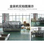 计数代餐粉装盒机 点数固体饮料全自动装盒机 数袋多列粉末装盒机