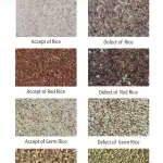 Máy phân loại gạo thông minh CCD mới, máy phân loại gạo của Trung Quốc