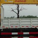 Cần trục bốc xếp SQ5