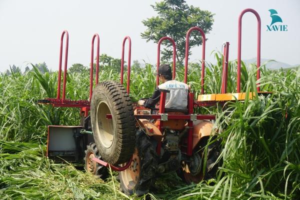 Bàn giao và vận hành máy cắt ngô cho nông dân tỉnh Tuyên Quang