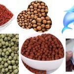 Máy đùn thức ăn cho cá