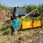 Máy thu hoạch mía F16M