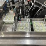 Máy Đóng Gói Hộp Carton Tự Động