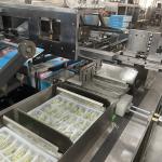 Máy Đóng Gói Hộp Carton Tự Động