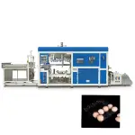 Máy sản xuất hộp nhựa đựng thực phẩm