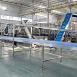 Industrial Waffle & Wafer Biscuit Making Machine