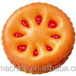 Dây chuyền sản xuất bánh quy cứng – Máy làm bánh sandwich nhân gấu & lò nướng (Dòng BCQ)