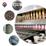 Dây chuyền sản xuất kẹo dẻo Gummy Bear tự động