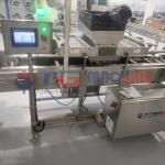 Dây chuyền sản xuất bánh Cup Layer Cake tự động