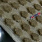 Máy làm bánh quy nhỏ đa chức năng – Sản xuất bánh quy & cookie