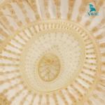 Máy băm nghiền thân cây chuối