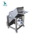 Máy bào đá, Máy xay đá công nghiệp Inox 304