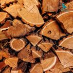 Máy bổ củi dạng ngang LS8T-520-1