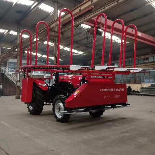 Máy cắt ngô 4 hàng