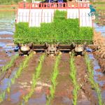6-Row Rice Transplanter