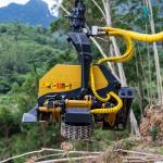 Máy Chặt Cắt Cây Gỗ