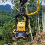 Máy Chặt Cắt Cây Gỗ