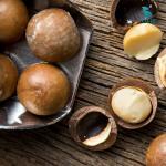 Máy cưa hạt Macca