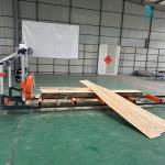 Rima RS26G/RS31G Chainsaw Mill