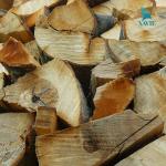 Rima RS26G/RS31G Chainsaw Mill