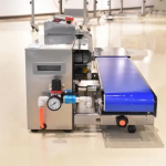 Máy đóng gói hút chân không tự động