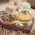 Máy ép dầu 100-150kg/h