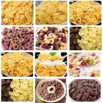 Máy ép đùn ngũ cốc ăn sáng