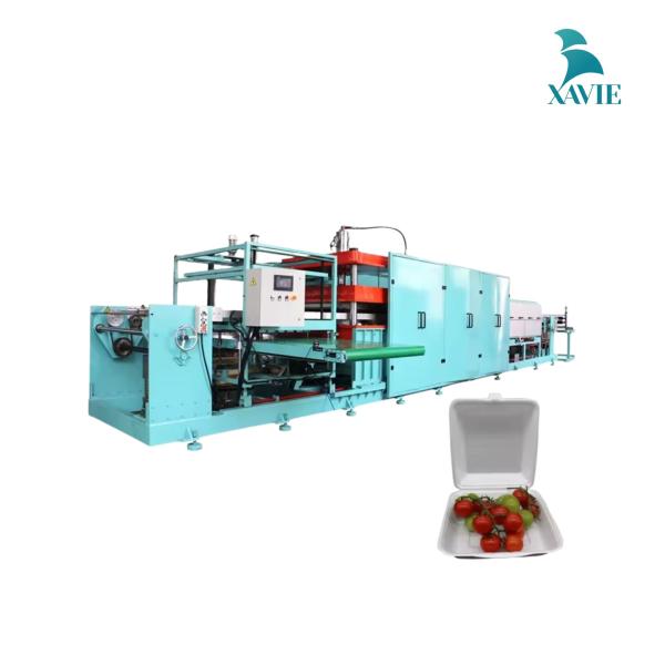 Máy làm hộp xốp đựng thức ăn nhanh