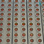 Máy làm kẹo dẻo trái cây