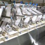 Máy làm khăn ướt