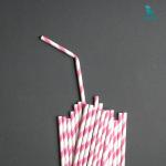 Máy làm ống hút giấy có thể phân hủy sinh học