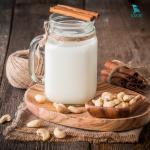 Máy làm sữa hạt công nghiệp