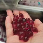 Máy làm thạch thủy tinh