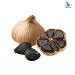 Máy làm tỏi đen