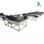 Máy phân loại hoa quả