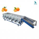 Máy phân loại hoa quả tự động