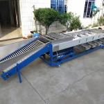 Máy phân loại hoa quả tự động