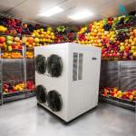 Máy sấy thực phẩm hiệu quả 380L/D