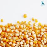 Máy tách hạt ngô