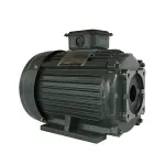 Động cơ cảm ứng 3 pha