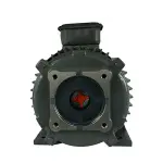 Động cơ cảm ứng 3 pha