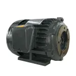 Động cơ cảm ứng 3 pha