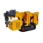 现在有一家工厂需订购“小型3吨5吨蜘蛛吊 微型遥控起重机吊车 蜘蛛吊车折叠履带吊机”极速联系