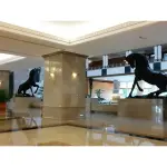 Hóa chất Tăng độ cứng độ bóng sàn MK