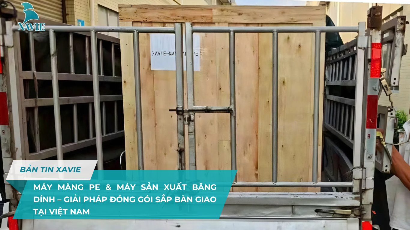 Máy màng PE & băng dính – Giải pháp đóng gói sắp bàn giao tại Việt Nam