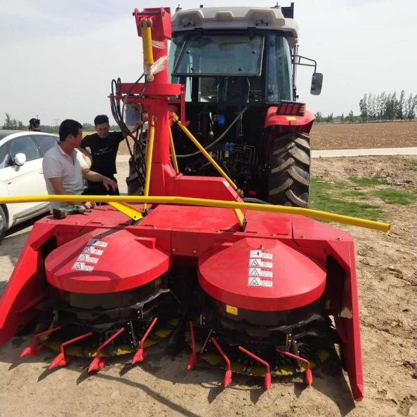 Máy cắt đập ngô trực tiếp